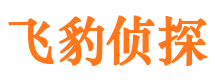 陕县捉小三公司